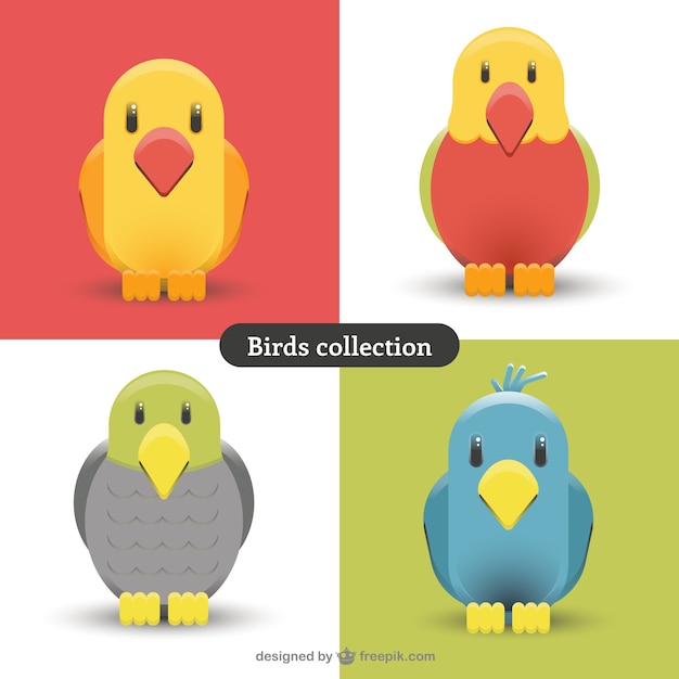 Variety cute birds 