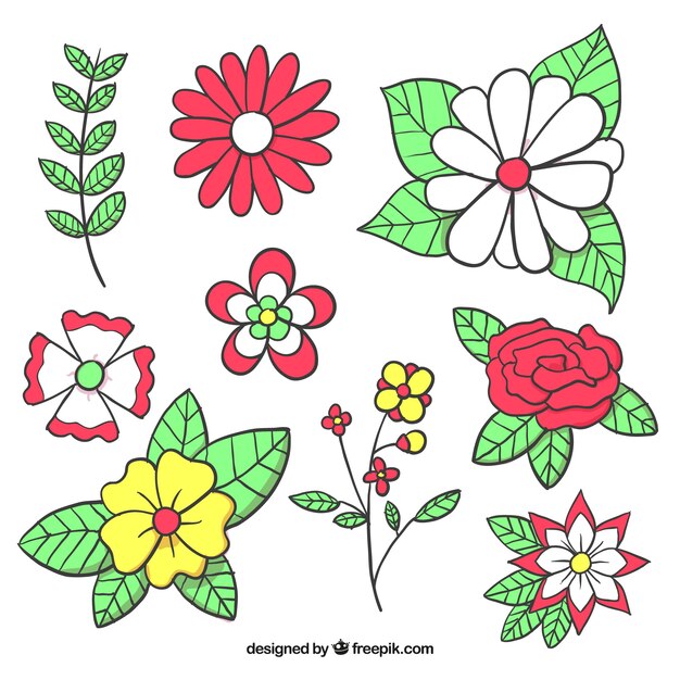 Variety of decorative flowers