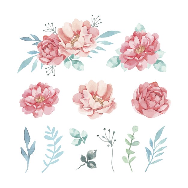 Variety of decorative watercolor flowers and leaves 