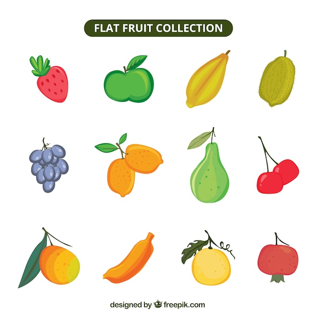다양한 맛있는 과일