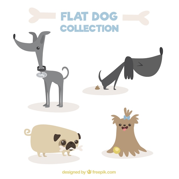 Variety of fantastic dogs in flat design