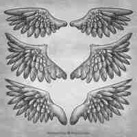 Free vector variety of fantastic realistic wings