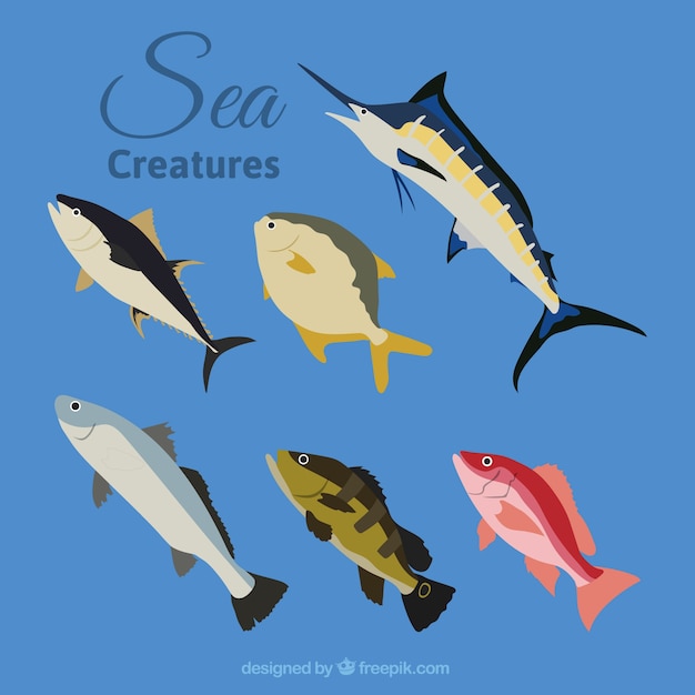 Free vector variety of fishes