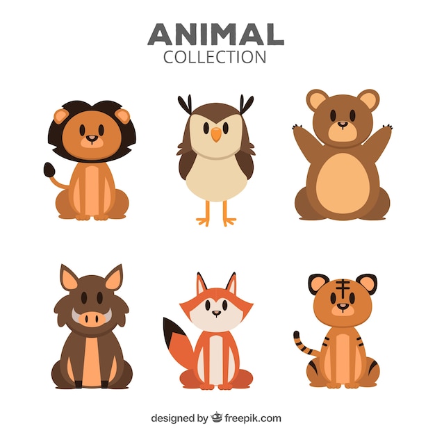 様々な平らな動物