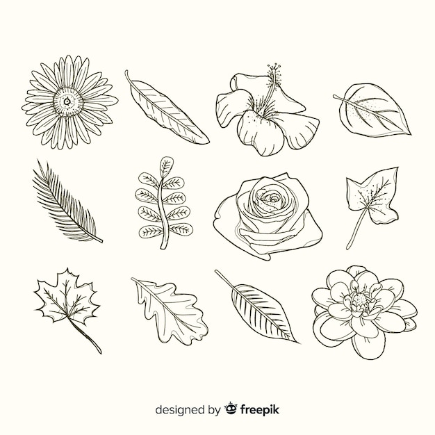 Free vector variety of flowers and leaves