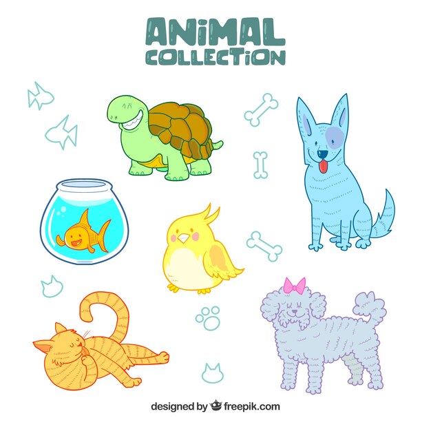 Variety of hand drawn animals 