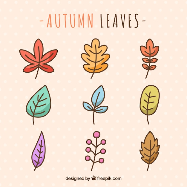 Free vector variety of hand drawn autumn leaves