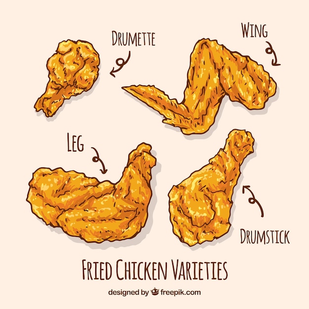 Variety of hand-drawn fried chicken