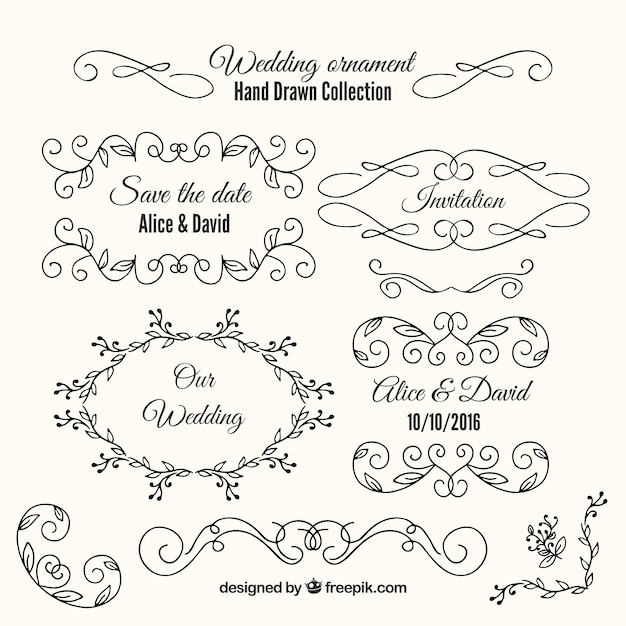 Variety of hand drawn wedding ornaments and frames