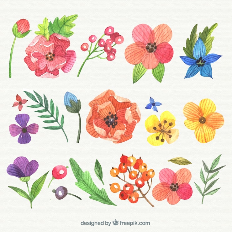 無料Vector 手描きの花の品種