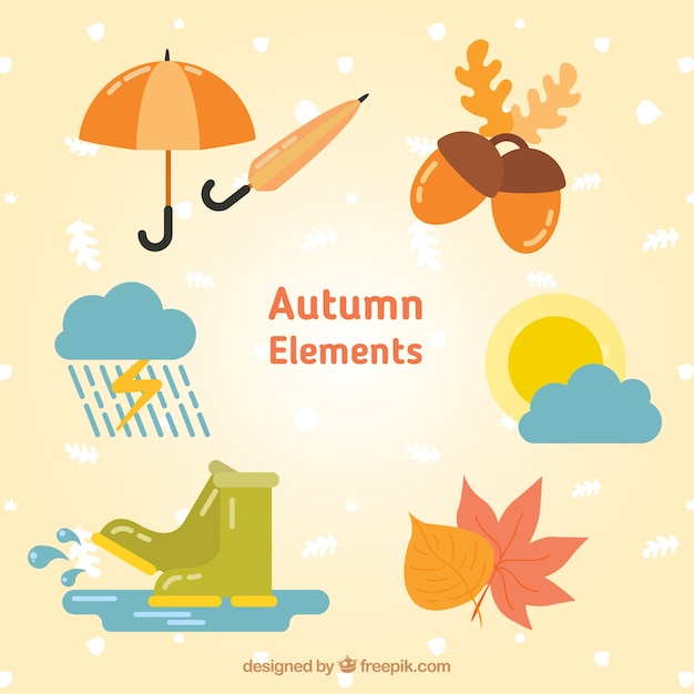 Free vector variety of items and autumn accessories