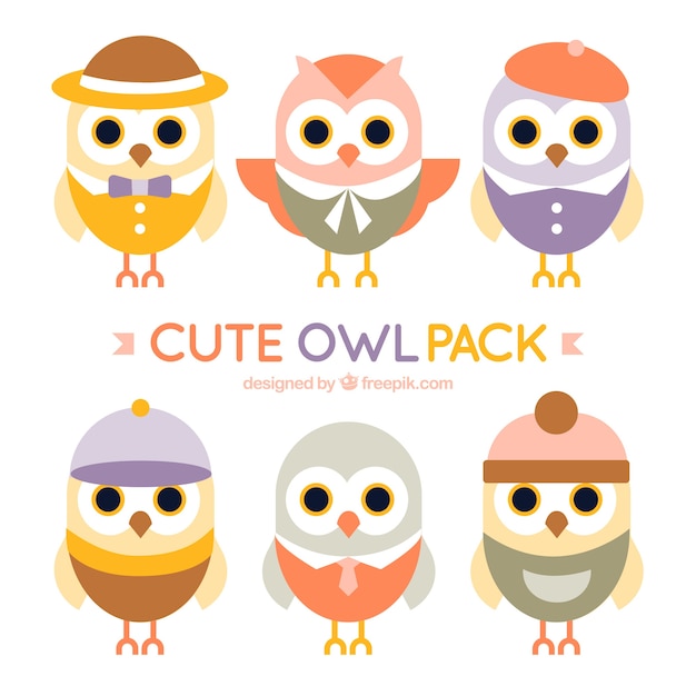 Variety of lovely owls with accessories