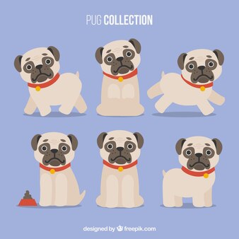 パグ 画像 無料のベクター ストックフォト Psd パグ 画像 無料のベクター ストックフォト Psd