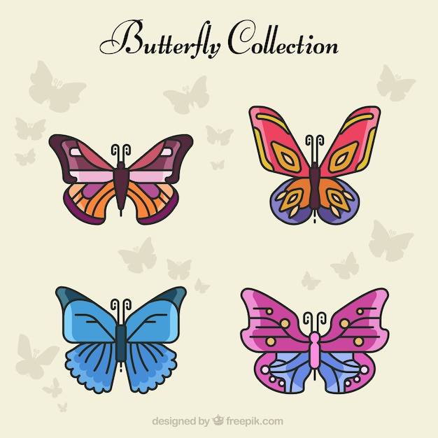 Variety of pretty butterflies