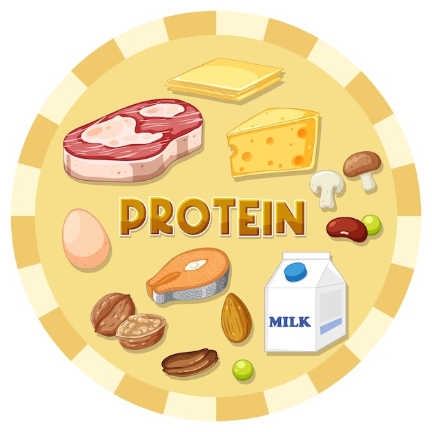 Free vector variety of protein foods with text