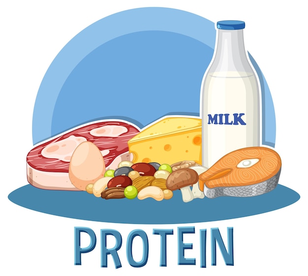 Free vector variety of protein foods with text