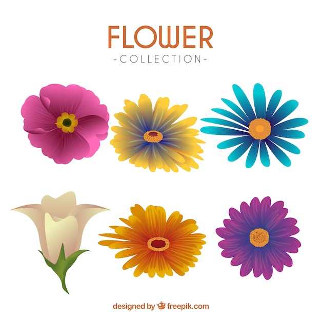 Free vector variety of realistic flowers