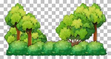 Бесплатное векторное изображение Разнообразие деревьев на прозрачном фоне