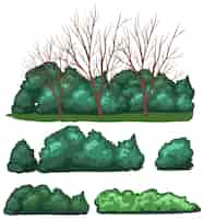 Бесплатное векторное изображение Разнообразие деревьев на белом фоне