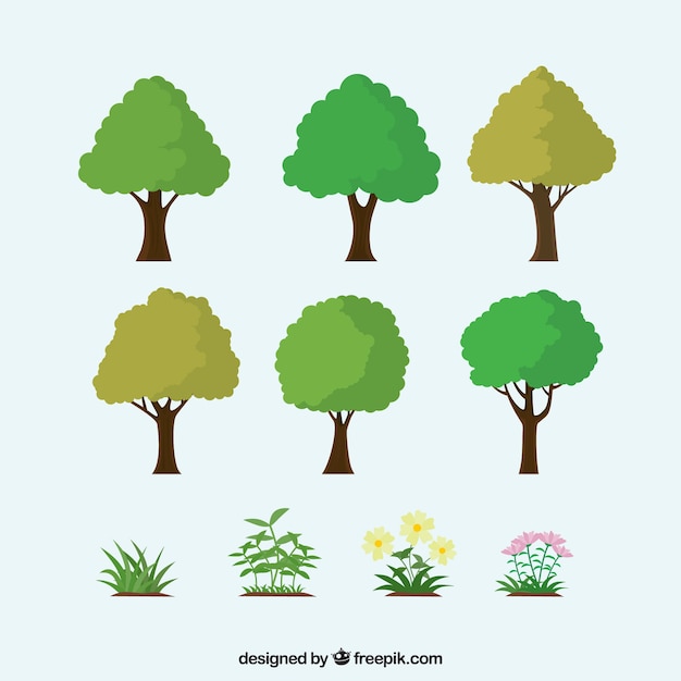 Variety of trees and plants