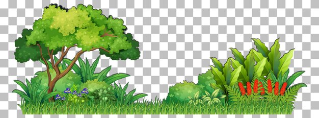 Variety trees on transparent background