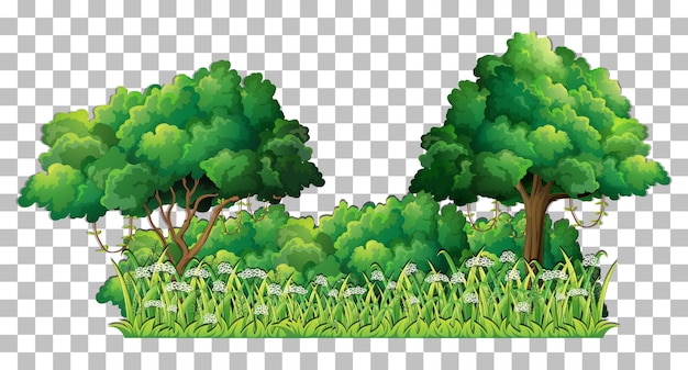 Free vector variety trees on transparent background