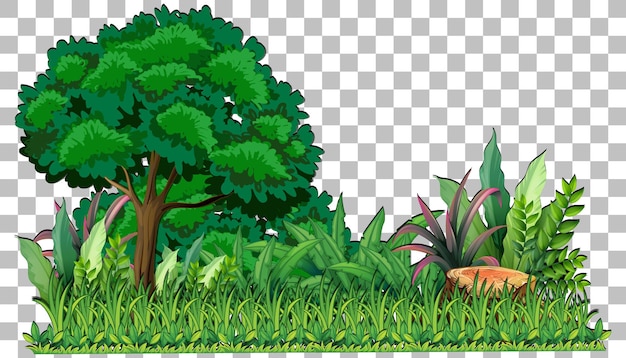 Free vector variety trees on transparent background