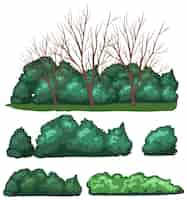 Free vector variety trees on white background