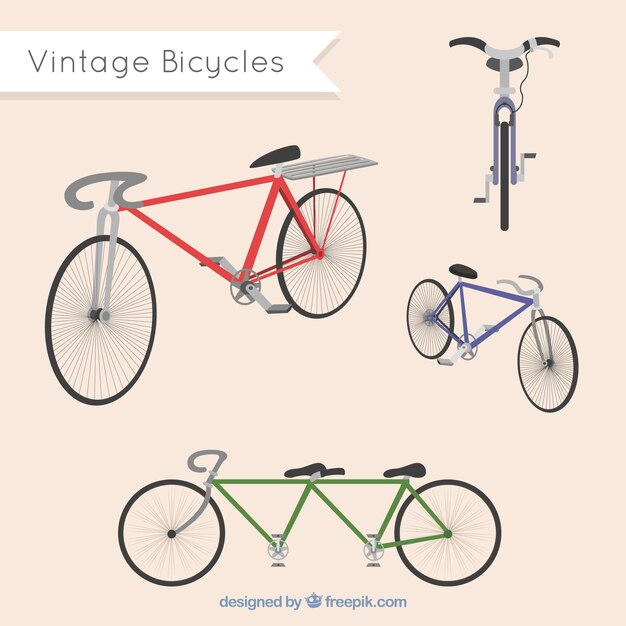 Variety of vintage bicycles