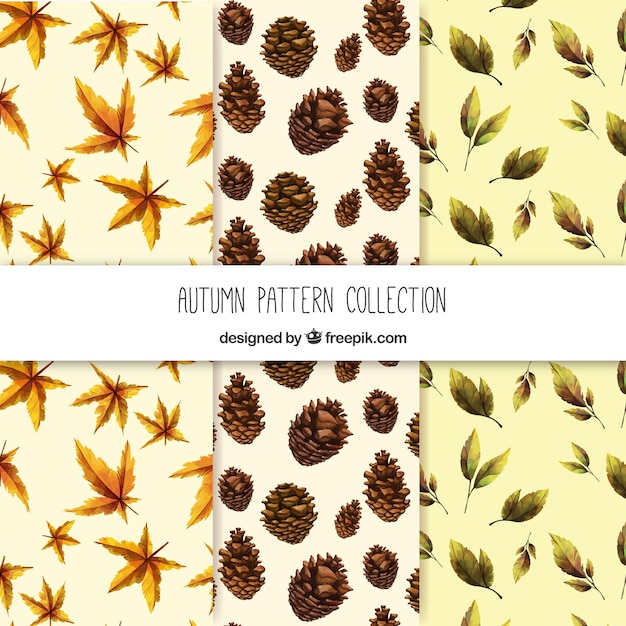 Variety of watercolor autumnal patterns