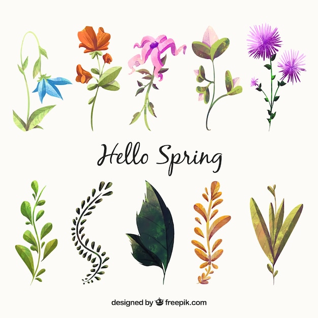 Free vector variety of watercolor flowers and plants