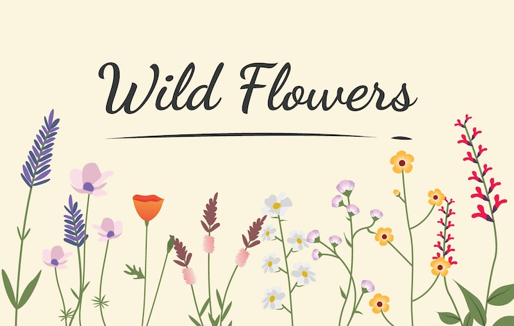 Free Vector variety of wild flowers illustration