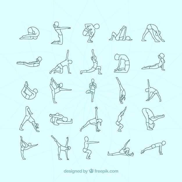 Free vector variety of yoga postures