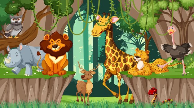 Various animals in the forest