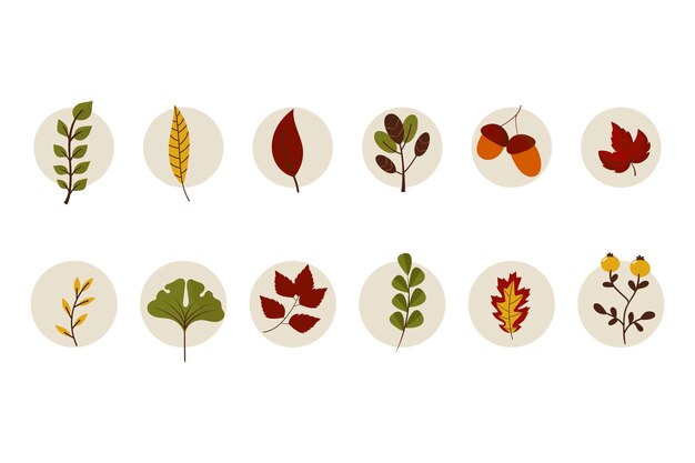 다양한 가을 단풍 컬렉션