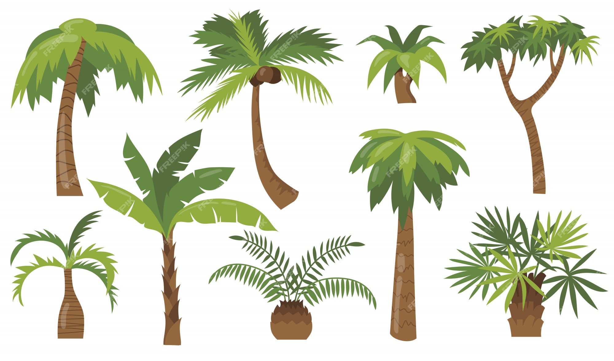 palm tree vector png