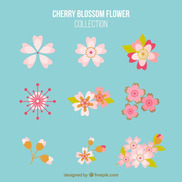 Various cherry blossoms