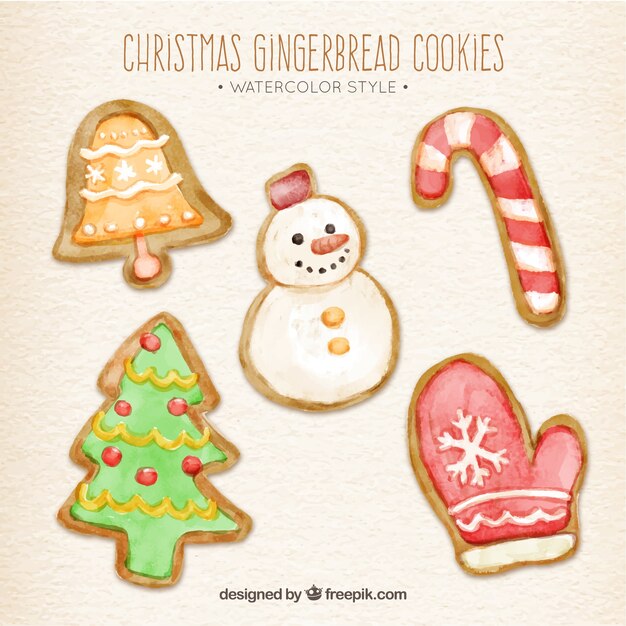 Various christmas watercolor ornamental cookies