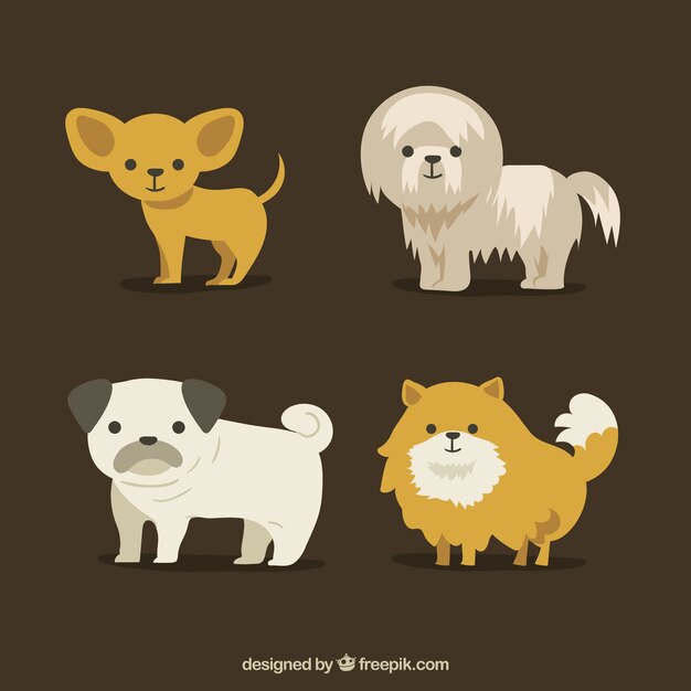 Various cute dogs