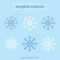 Free vector various decorative snowflakes