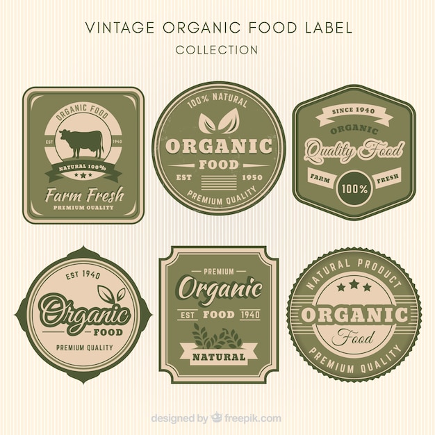 Free vector various ecological retro stickers