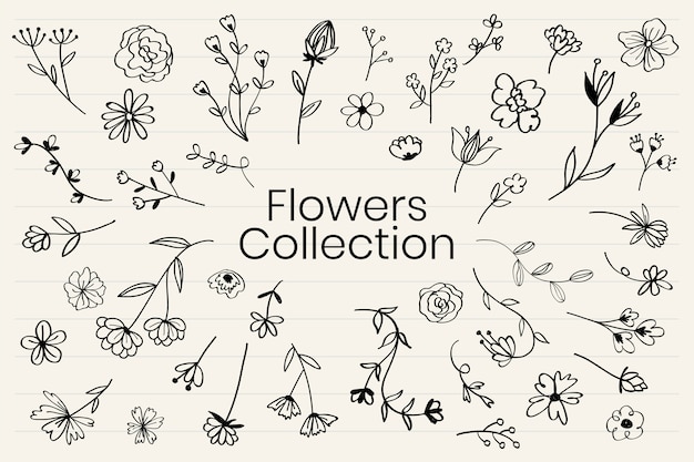 Various flowers doodle collection vector