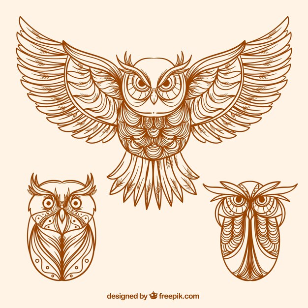 Various hand drawn decorative owls