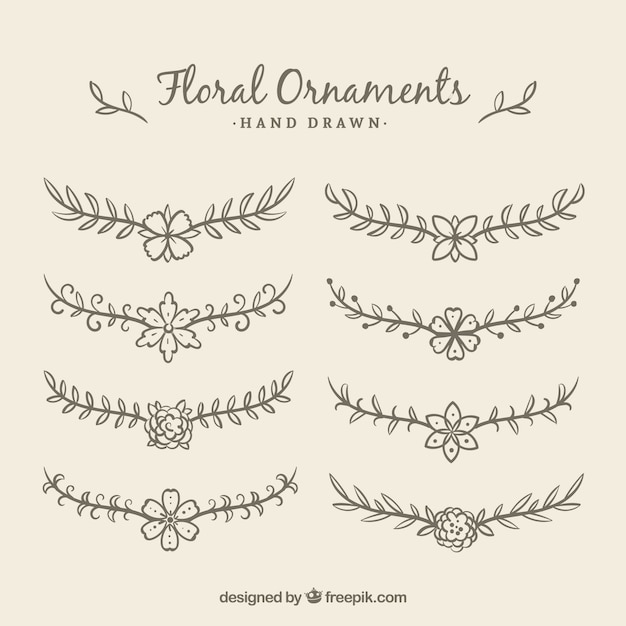Various hand drawn floral ornaments 