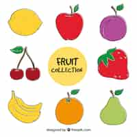 Free vector various hand-drawn fruits