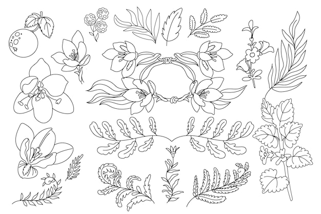 Various hand drawn line art floral illustrations