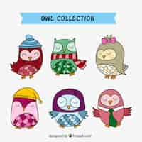 Free vector various hand drawn owls