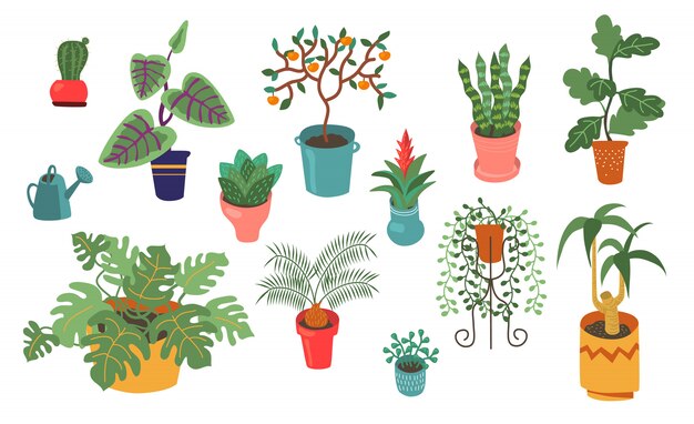 Различные домашние растения плоский Векторная коллекция