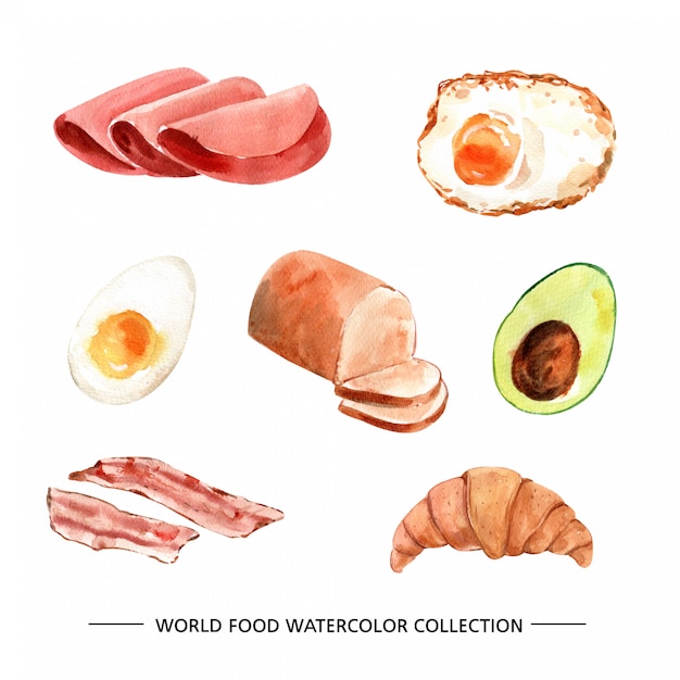 Free vector various isolated watercolor food illustration