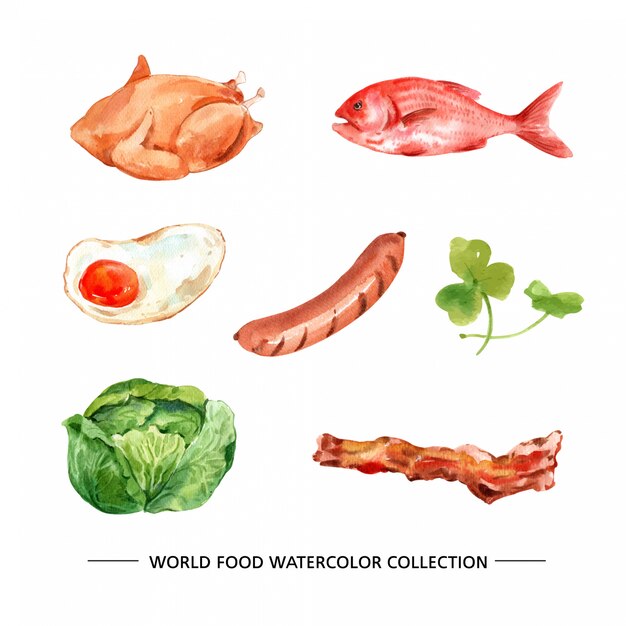 Various isolated watercolor food illustration 